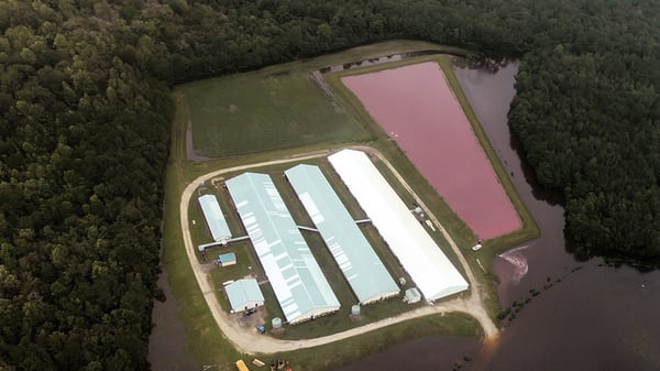 Manure Lagoons in Midwest
