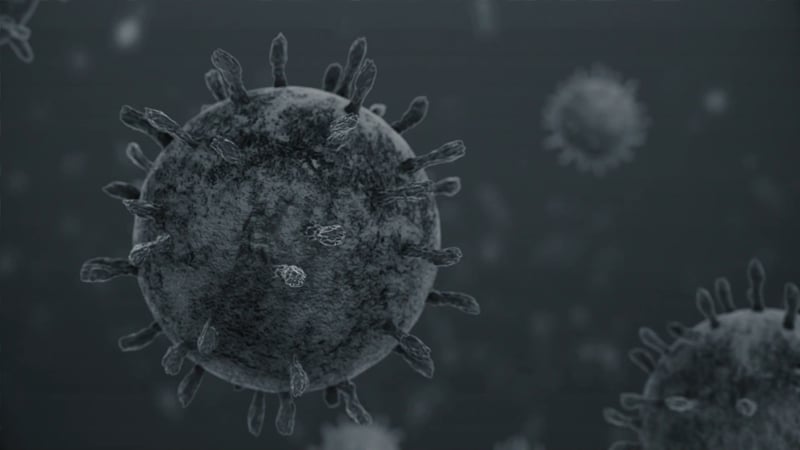 Picture of a virus