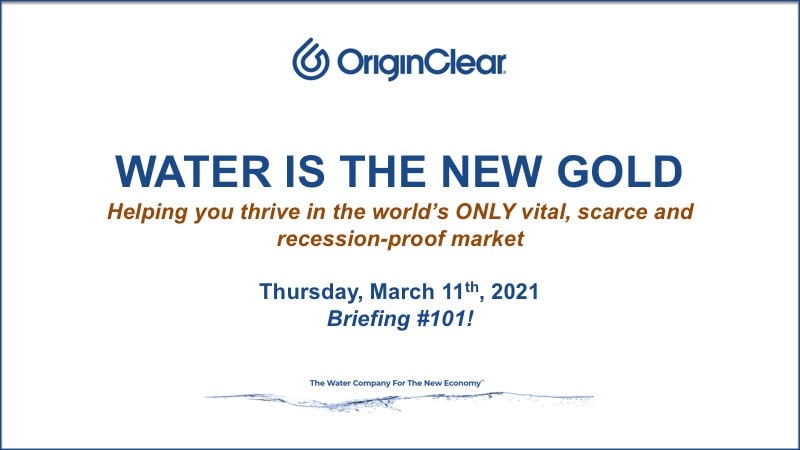 11 March 2021 CEO Briefing title