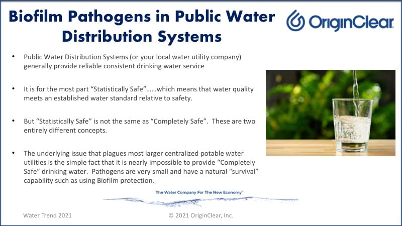 biofilm pathogens in public water systems