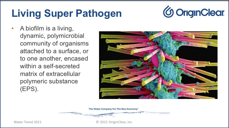 Living super-pathogen