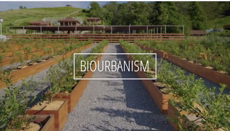 Biourbanism