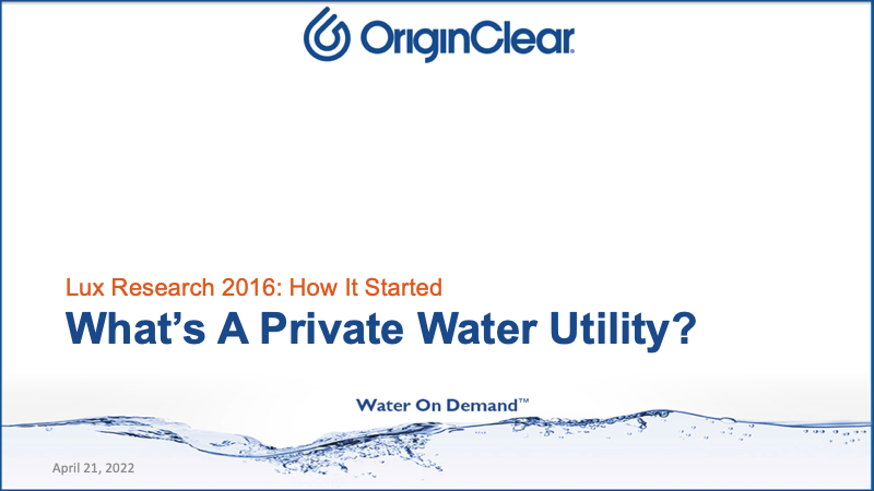 What is a private water utility
