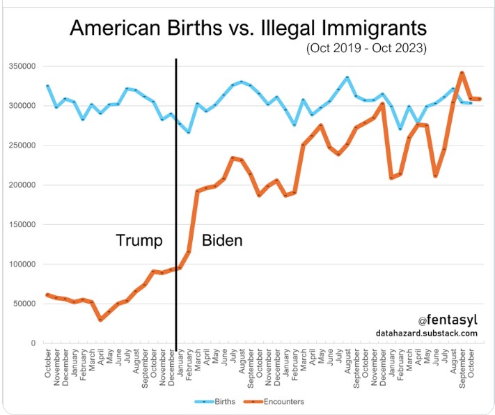 births vs illegal immagrants